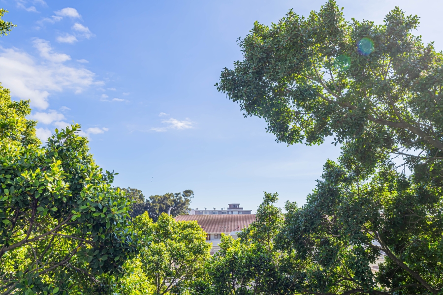 To Let 2 Bedroom Property for Rent in Green Point Western Cape